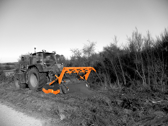 TMC Cancela R5 – Rotacijska kosa